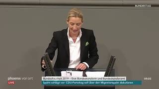 Generaldebatte im Bundestag Rede von Alice Weidel am 21112018 [upl. by Ellenehs]