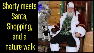 Shorty meets Santa Shopping and a nature walk [upl. by Etteroma]