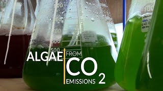 Algae from CO2 Emissions [upl. by Chase529]