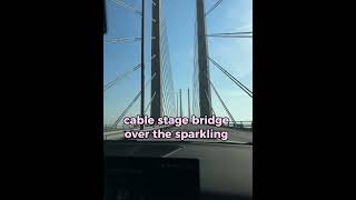 The worlds most expensive underwater bridge 😱💸 Oresund bridge [upl. by Edgardo720]