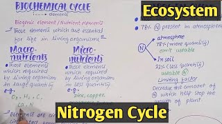 Introduction to ecosystem  Class 12 Biology [upl. by Dnaltroc997]