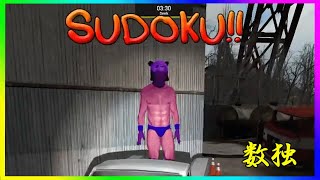 Vanoss Sudoku Moments VanossGaming Compilation [upl. by Bringhurst902]