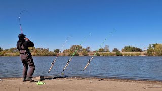 Catfish amp Carp Bank Fishing [upl. by Embry]