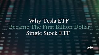 Talk ETFs Why TSLL Became the First BillionDollar SingleStock ETF [upl. by Quintina]