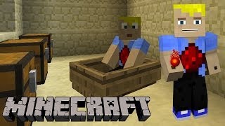 Geheimster Geheimraum  der geheim ist  Minecraft Tutorial [upl. by Engedus]