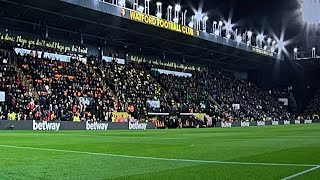 Watford vs Chelsea match Temporarily Suspended after Supporter Receives Medical Support in crowd [upl. by Loree854]