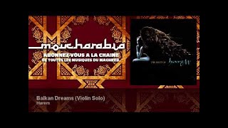 Harem  Balkan Dreams  Violin Solo [upl. by Sharona451]