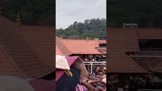 Ayyappa swamy temple sabarimalaayyappa god viralvideo trending [upl. by Aleakcim953]