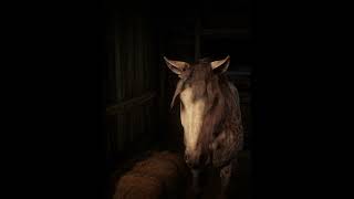 Top1 FASTER Horse Than Arabains Location amp Rankings  RDR2Brindle Thoroughbred Horse shorts rdr2 [upl. by Anai]