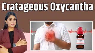 cratageous Oxycantha mother tincture uses for heart disease heart blockage heart attack [upl. by Pierpont]