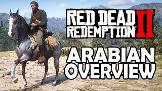 Arabian Overview  Red Dead Redemption 2 Horses [upl. by Katushka]