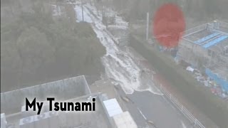 My Tsunami  Die Katastrophe via Skype [upl. by Inoue]