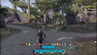 ESO Auridon Enchanter Survey Location The Elder Scrolls Online [upl. by Lahtnero392]