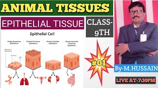 🔴🔴ANIMAL TISSUES🔴🔴EPITHELIAL TISSUES🔴🔴LECTURE01CLASS9TH🔴🔴 [upl. by Anitsirc]