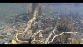 Shallow water of Kipili Lake Tanganyika [upl. by Idou]