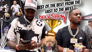 TAYSVLOGS AND 30 RICH I ENTERED MY DOG IN HIS FIRST EXOTIC BULLY COMPETITION [upl. by Horst]