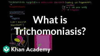 What is trichomoniasis  Infectious diseases  NCLEXRN  Khan Academy [upl. by Gerge]