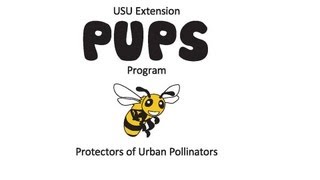 PUPS Types of Pollinators [upl. by Nodnerb126]