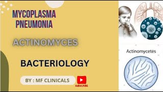 Actinomyces  Mycoplasma pneumonia mbbs bacteriology [upl. by Eneli499]