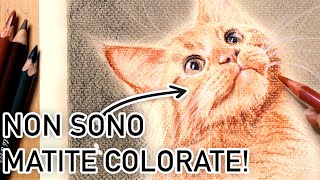 Non userai più le matite colorate Disegnare un gatto un ritratto con Carboncino Sanguigna e Carrè [upl. by Aikahc]