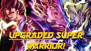 UNRIVALED Super Warrior Upgraded Super VegitoFusion Warriors Team  Dragon Ball Legends PvP [upl. by Kelsi]