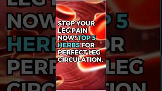 STOP YOUR LEG PAIN NOW Top 5 Herbs for Perfect Leg Circulation [upl. by Sirrad441]