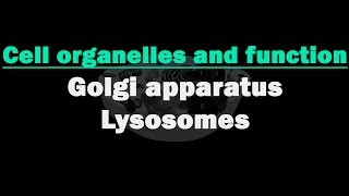 Cell Organelles and its Functions  Letstute [upl. by Sender593]