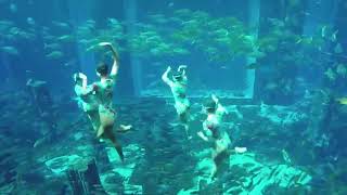 Stunning Synchronized Swimming by Mermaids of Arabia at Atlantis [upl. by Atnicaj]