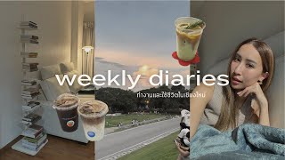 weekly diaries  ชีวิตในเชียงใหม่ facts about me ออกกำลังกาย ประกอบชั้นวางหนังสือ [upl. by Kerr]