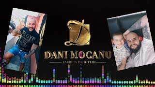 Dani Mocanu  Am un pui de campion  Official Audio [upl. by Norraa]