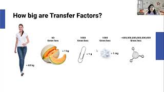 TF Trifactor English [upl. by Inait]