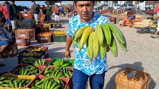 FEIRA NA CEASA DE TIANGUÁCE 1792024 [upl. by Naesed]