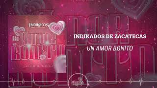 Indikados de Zacatecas  Un Amor Bonito 2024 [upl. by Yerahcaz353]