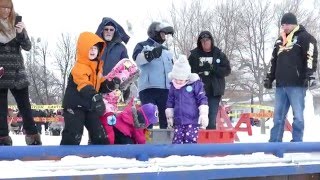 Gimli Ice Festival  Celebrating our Heritage  2016 [upl. by Ahsercul37]