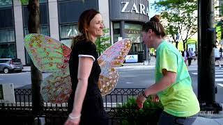 Flight of Butterflies on The Magnificent Mile [upl. by Eiloj]