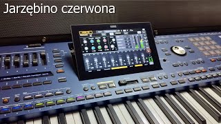 KORG Pa5X Musikant  Jarzębino Czerwona cover factory style French Walzer akkordeon voices [upl. by Sitoeht]