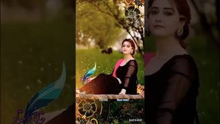 BB shirini song music newsong lovesong shortvideo love [upl. by Aterg]