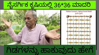 ನೈಸರ್ಗಿಕ ಕೃಷಿಯಲ್ಲಿ ತೋಟ ಮಾಡಲು ಗಿಡಗಳನ್ನು ಹಾಕುವುದು ಹೇಗೆnatural farmingfivelyer model BLkrashiSamkrti19 [upl. by Halimaj]