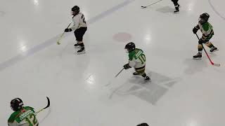 East Lambton Eagles U9black vs Thamesford Full game Feb 5 2024 [upl. by Emmie820]