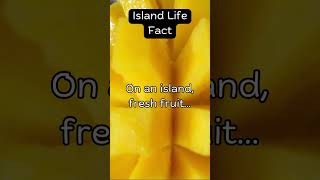 Puerto Rico Island Life Fun Facts  6 [upl. by Roze]