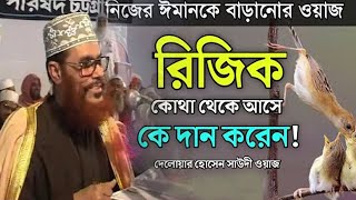 রিজিক কি দেলোয়ার হোসেন সাউদী delwar hussain saidi trimcut5 voiceofdin [upl. by Aneez662]