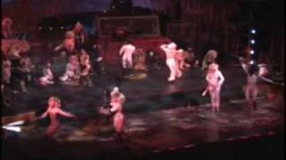 CATS Musical  Jellicle Ball [upl. by Jorrie299]