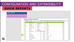 01 of 11 IFS Apps 10 Quick Reports Extensibility using Custom Objects Overview [upl. by Rezal]