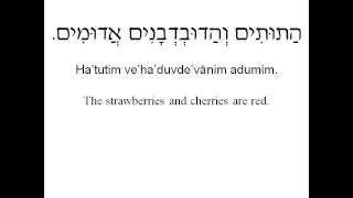 Learn Hebrew Phrases  Colors [upl. by Notse29]