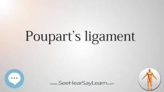 Pouparts ligament Anatomy Named After People 🔊 [upl. by Nylg]