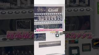 レモンスカッシュっておいしいよね straykids 스트레이키즈 ストレイキッズ 스키즈 skz スキズ自販機 ヒョンジン スキズ [upl. by Aehsan]