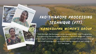 FAO under STREIT PNG Programme empowers Womens business group with new FFT fish dryer [upl. by Terrena]