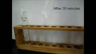 Investigating Diffusion Through a membrane [upl. by Nauj]