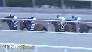 Fountain of Youth Stakes 2024 FULL RACE  NBC Sports [upl. by Gunas]