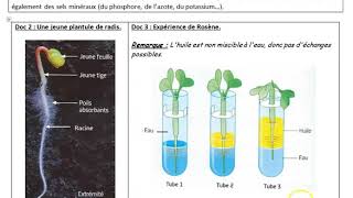 Activité 1  labsorption de leau et des sels minéraux par les végétaux [upl. by Feriga]